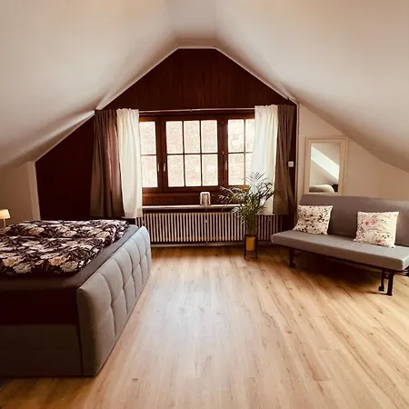 Apartmán Bachnixe 2 Seebach