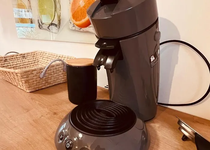 Bachnixe 2 Lejlighed Seebach